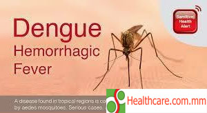 Dengue Haemorrhagic Fever (DHF) သွေးလွန်တုပ်ကွေး